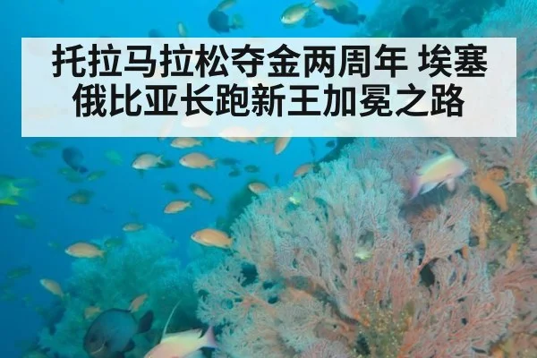 托拉马拉松夺金两周年 埃塞俄比亚长跑新王加冕之路